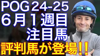 【POG2425】６月１週目デビューの注目新馬を紹介【２歳戦スタート！出世レースにノーザンＦ評判馬が登場！！】 [upl. by Nadab]