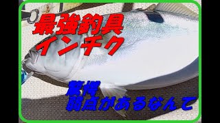 驚愕 インチクの弱点があった 松山沖釣果情報 [upl. by Poppas668]