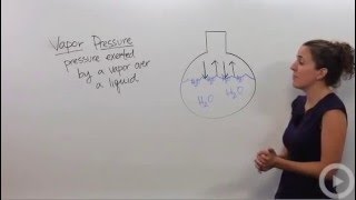 Vapor Pressure [upl. by Christine]