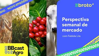 04112024  Perspectiva semanal mercado agro [upl. by Atinehs955]