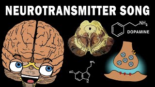 THE NEUROTRANSMITTER SONG [upl. by Firman]