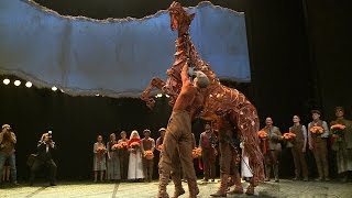 War Horse  Premièreverslag van Anouk Maas Teaser [upl. by Hillier789]