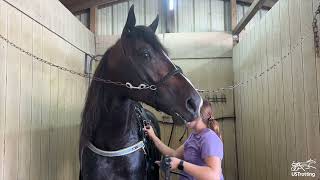 2024 Hambletonian Contenders • Marcus Melander • Security Protected amp Date Night Hanover [upl. by Latsyrcal643]