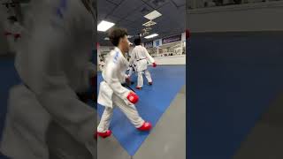 Kumite training WKF [upl. by Yelkrab]