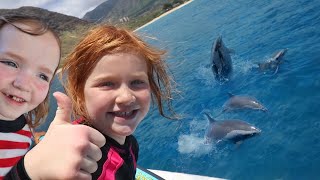 Swimming with WiLD DOLPHiNS Ocean Adventure to Snorkel with a Dolphin Pod amp Sea Turtles in Hawaii [upl. by Ojeibbob]