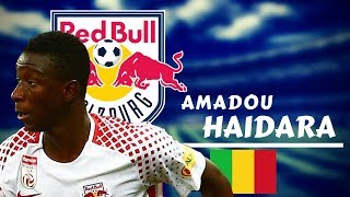 AMADOU HAIDARA  Fantastic Goals Assists Passes amp Skills  2018 ● 4K [upl. by Nairoc78]