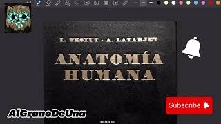 Tratado de Anatomia Humana TestutLatarjet Tomo III  Gr4tis [upl. by Jamille]