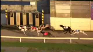 IGB  Dublin Coach A5 23062018 Race 7  Limerick [upl. by Casandra]