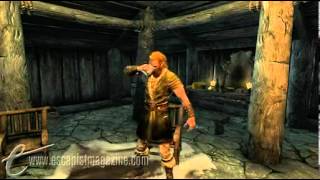 Miracle of Sound Nord Mead Skyrim [upl. by Akinwahs]