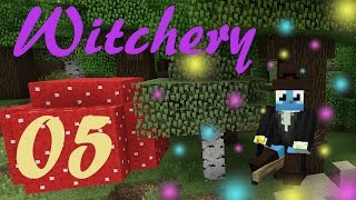 Minecraft  Witchery MOD  Cap 05  Caldero y el Mutandis [upl. by Neddra393]