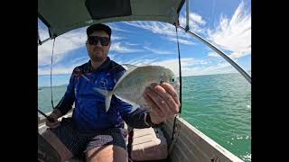 inshore fishing townsville [upl. by Lledniw]