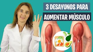 3 DESAYUNOS saludables para AUMENTAR MASA MUSCULAR  Desayuno y masa muscular  Nutrición deportiva [upl. by Irneh635]