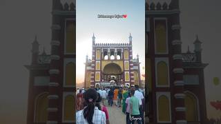 Krishnanagar Rajbari Jagadharti Puja 2024 song love music instagram vlog minivlog viralvideo [upl. by Eadahc437]