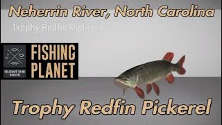 Fishing Planet Trophy Redfin Pickerel Neherrin River North Carolina [upl. by Aicirtan]