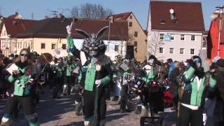 Narrentreffen Rottenburg 2013 [upl. by Brandise389]