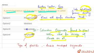 A parenchymatous cell that stores ergastic substances is called [upl. by Idalina477]