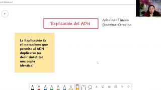 Replicación del ADN [upl. by Antipus]