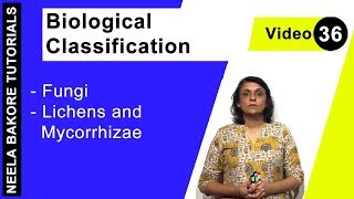 Biological Classification  NEET  Fungi  Lichens and Mycorrhizae  Neela Bakore Tutorials [upl. by Trainor]