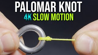 How to Tie a PALOMAR KNOT  quotKnot Easyquot Series  Fishing Knot Tutorial [upl. by Gerk704]