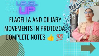 FLAGELLA AND CILIARY MOVEMENTS IN PROTOZOA🎯👉Describe brieflyMscBscUGC💯👍✅ [upl. by Votaw225]