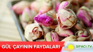 Gül Çayının Faydaları  Doğal Yöntemlerle Güzelleşmek İsteyenler Bu Videoyu İzlesinler [upl. by Joni]