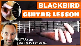 Blackbird Guitar Lesson  part 1 of 5 [upl. by Ayila]