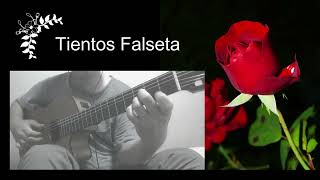 Tientos Flamenco Guitar Falseta  ティエントス ファルセータ [upl. by Lauraine]