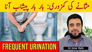 Peshab Bar Bar Ana Masana Ki Kamzori Ki Wajohat Alamat Ilaj Frequent Urination Overactive Bladder [upl. by Aric]