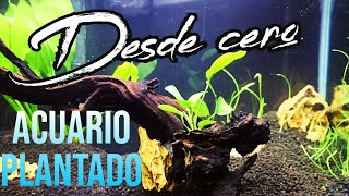 ¡¡Acuario plantado desde Cero [upl. by Ada499]