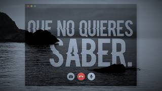 Que No Quieres Saber  Pinche Mapache Video Lyric [upl. by Eilagam]