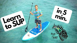 Learn to SUP in 5 minutes How to Stand Up Paddleboard for beginners [upl. by Ashlen98]