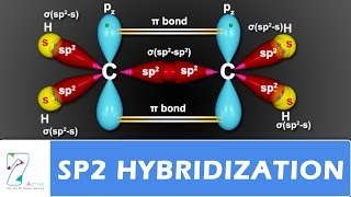 SP2 Hybridization [upl. by Carter318]