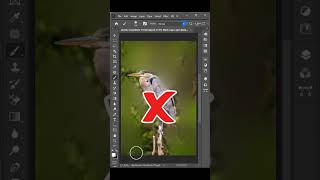 1How to Create DSLR Blur Background Easily Using Photoshop CC [upl. by Einohpets]