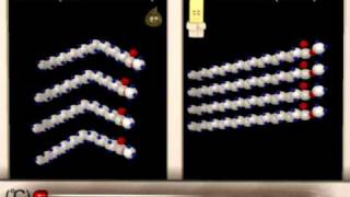 Lipid Structure Function Animation [upl. by Kinom777]