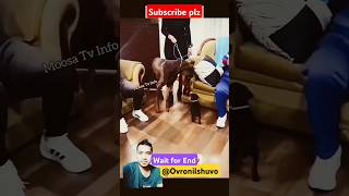 How dare you😂😍💯shorts short youtubeshorts trending ytshorts reaction greenscreen viralvideo [upl. by Sheng]