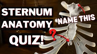 Practice Quiz on Sternum Structures so you Pass Your Exam [upl. by Ipoillak]