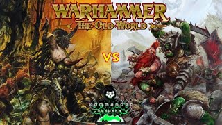 Beastmen Brayherds vs Dwarfen Mountain Holds Warhammer the Old World Battle Report 1 [upl. by Hughett]