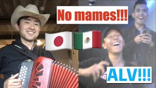 Mexicanos reaccionan a mi acordeón 😂 Japonés tocando un corrido [upl. by Sanoy]