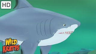 Wild Kratts  Sharks  Apex Predators of the Oceans [upl. by Ardnod]