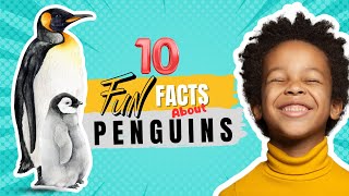 Penguins 10 Fun Facts About Penguins for KIDS [upl. by Aney]