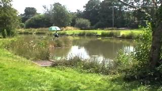 WHINWHISTLE FISHERY ROMSEYHAMPSHIRE [upl. by Gentes]