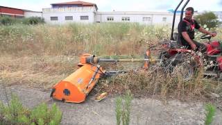 trattore carraro reversibile 3800 usato con trincia ferri CAVALLI [upl. by Suoivatnom]