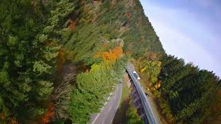 Ravennaschlucht Herbst 24 FPV [upl. by Lajes]