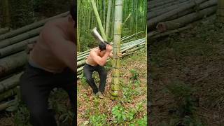 It takes 10 knives to cut down a bamboo tree [upl. by Aerol]