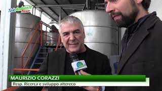 Economia circolare creare materiali innovativi dagli scarti vegetali si può [upl. by Akirret]