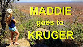 quotMy First Wild Creaturequot  Kruger National Park  MaddieGoes2Kruger [upl. by Femmine]