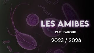 LES AMIBES  PAR  FAROUK  VERSION 20232024 [upl. by Anawal922]