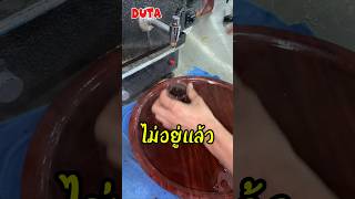 เขาได้ทําชาที่พิเศษที่สุดให้กับลูกค้าประจําร้าน shortvideo short DUTA fyp funny memes tea [upl. by Omarr]