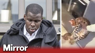 West Ham defender Kurt Zouma sentenced over Snapchat cat attack video [upl. by Hara881]