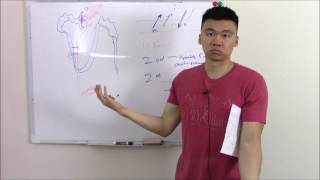 USMLE Renal 10 Renal Physiology Made Easy Clearance and GFR [upl. by Dilan]